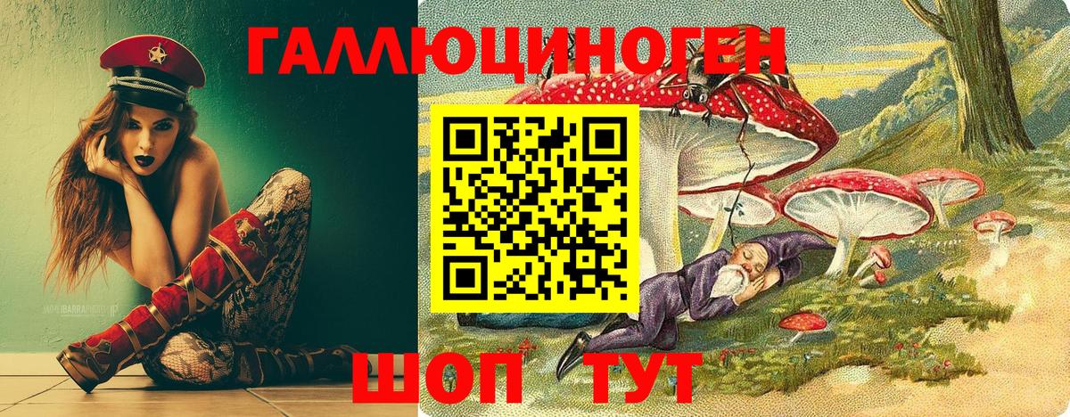 Галлюциногенные грибы Psilocybe Ачинск