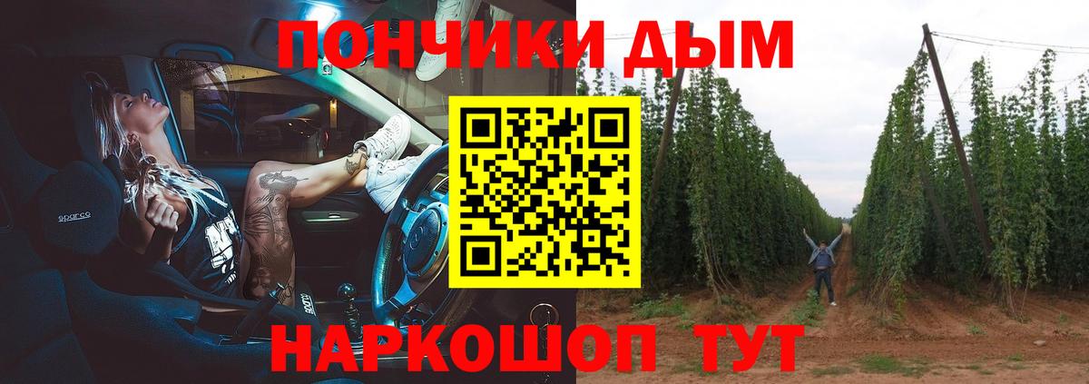 Бошки Шишки сатива  Канабис план  Конопля SATIVA & INDICA  Вход с VPN  Ачинск 